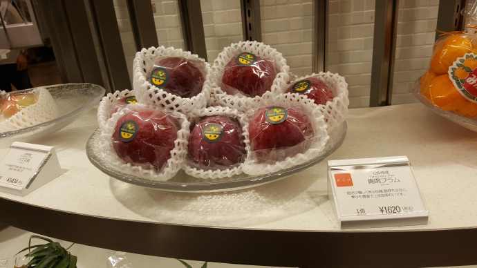 RibikuParks-30.jpeg RibikuParks 30