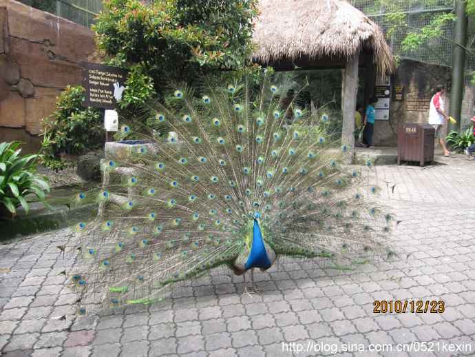 SunwayLagoon-08.jpeg SunwayLagoon 08