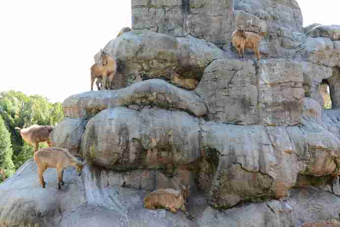 悉尼动物园 TARONGA ZOO （2013.11.26）