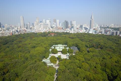 TKRPalace-01.jpeg TKRPalace 01