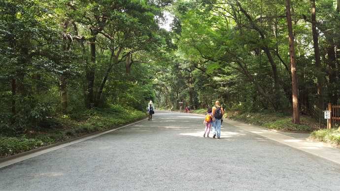 TKRPalace-02.jpeg TKRPalace 02