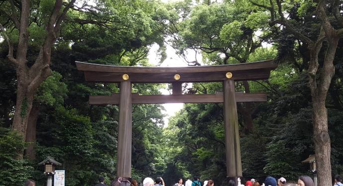 TKRPalace-03.jpeg TKRPalace 03