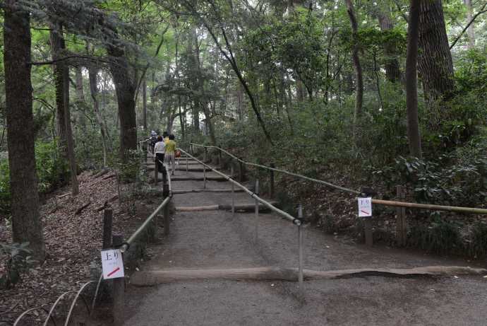 TKRPalace-04.jpeg TKRPalace 04