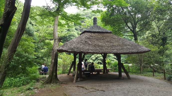 TKRPalace-05.jpeg TKRPalace 05