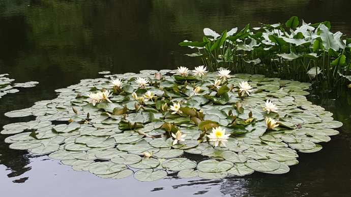 TKRPalace-07.jpeg TKRPalace 07