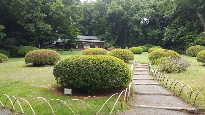 TKRPalace-08.jpeg TKRPalace 08