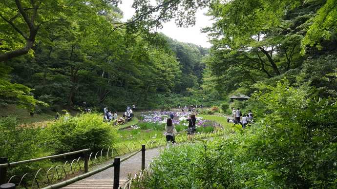 TKRPalace-09.jpeg TKRPalace 09