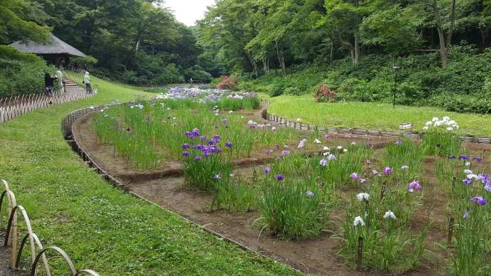 TKRPalace-10.jpeg TKRPalace 10