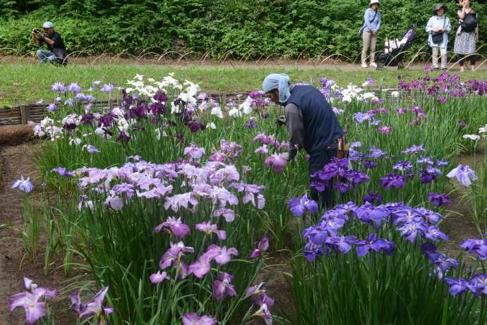 TKRPalace-11.jpeg TKRPalace 11