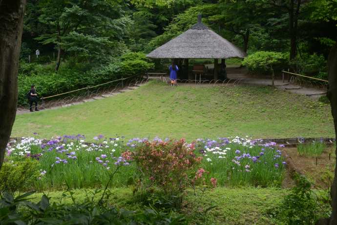 TKRPalace-12.jpeg TKRPalace 12