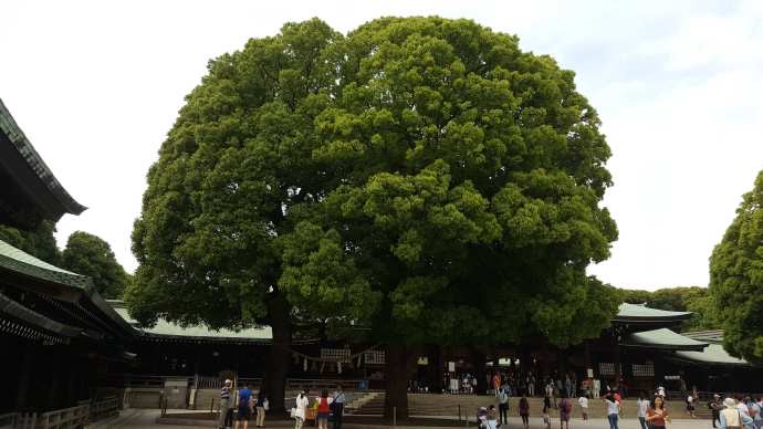 TKRPalace-14.jpeg TKRPalace 14