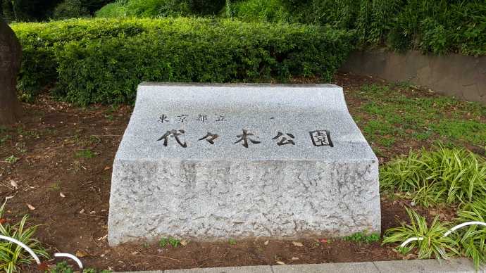 TKRPalace-19.jpeg TKRPalace 19