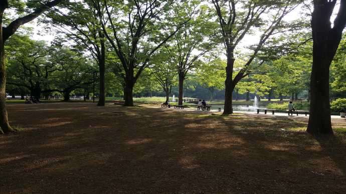 TKRPalace-21.jpeg TKRPalace 21