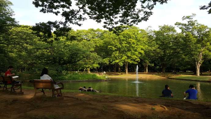 TKRPalace-22.jpeg TKRPalace 22