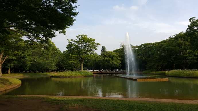 TKRPalace-23.jpeg TKRPalace 23