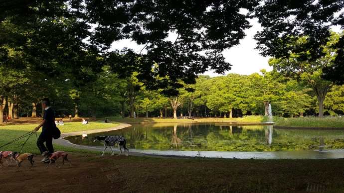 TKRPalace-24.jpeg TKRPalace 24