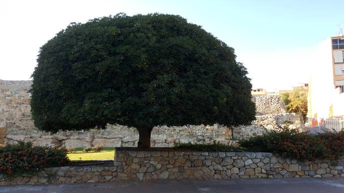 Tarragona-26.jpeg Tarragona 26