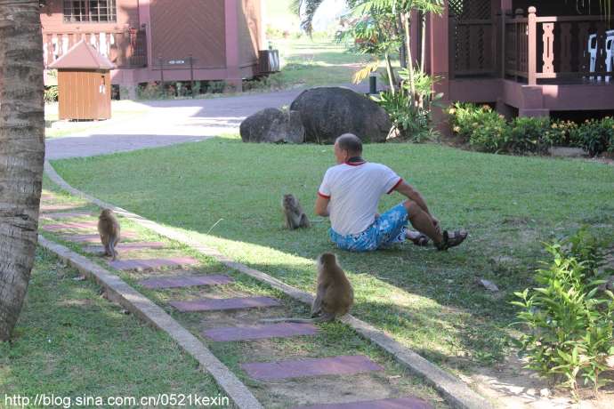 Tioman-03.jpeg Tioman 03