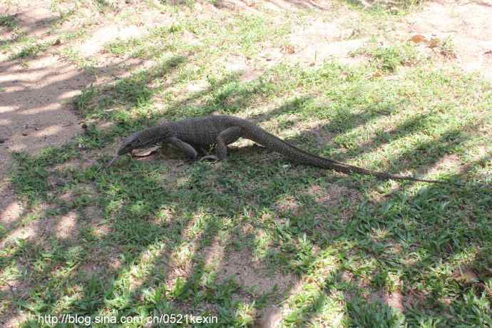 Tioman-04.jpeg Tioman 04