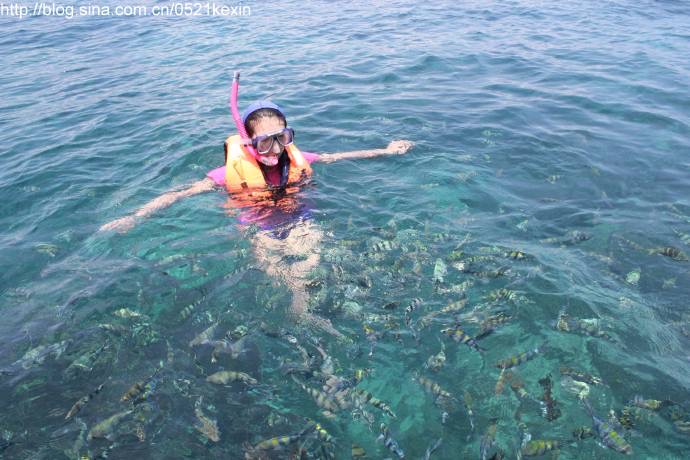 Tioman-15.jpeg Tioman 15