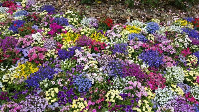 TokyoDisney-03.jpeg TokyoDisney 03