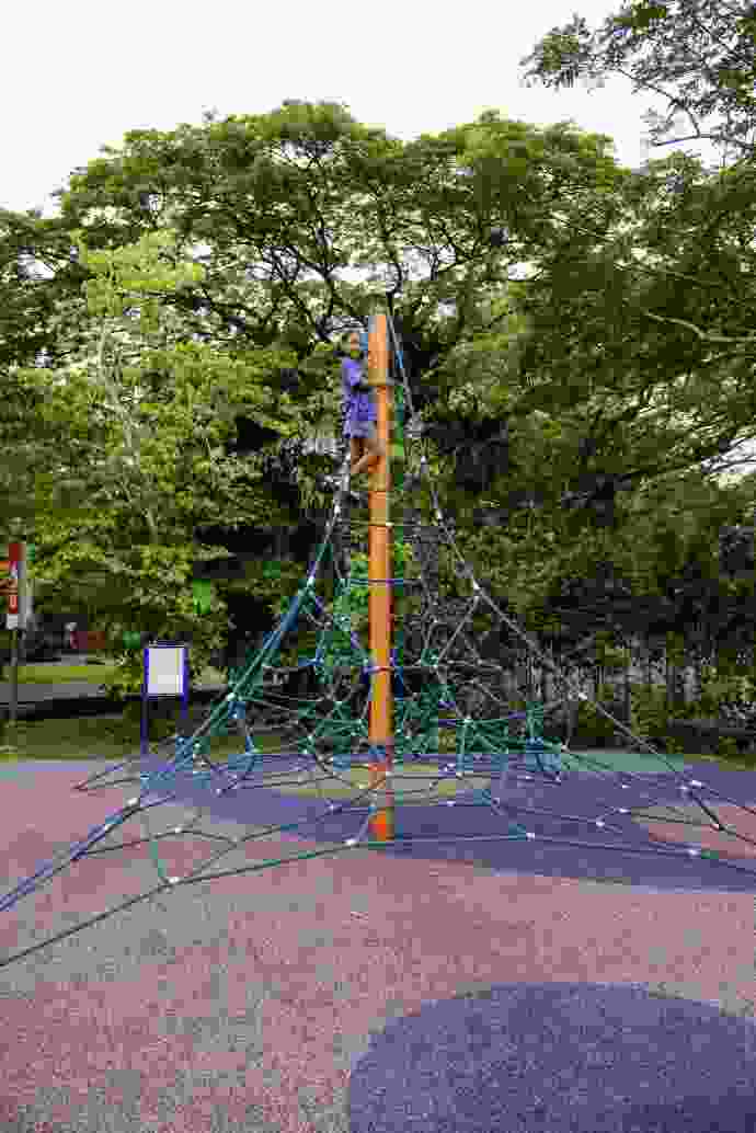 TopTree-01.jpeg TopTree 01