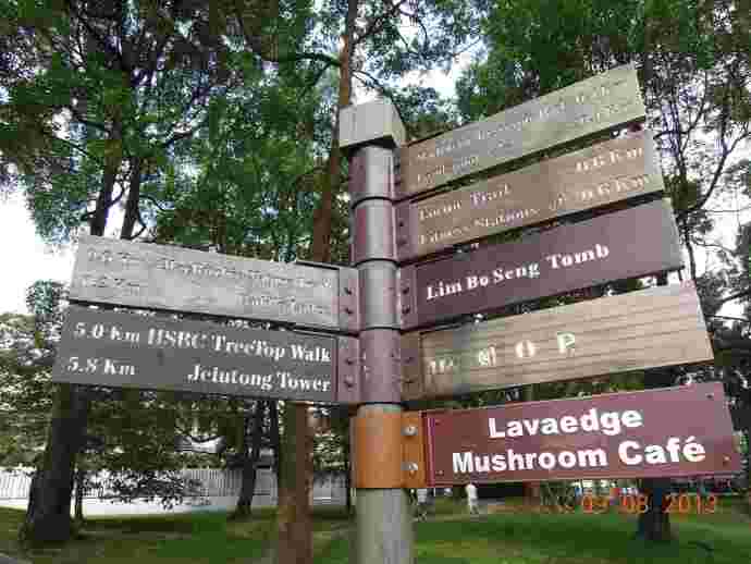 TopTree-02.jpeg TopTree 02