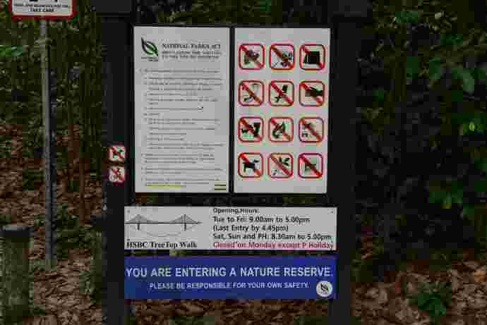 TopTree-03.jpeg TopTree 03