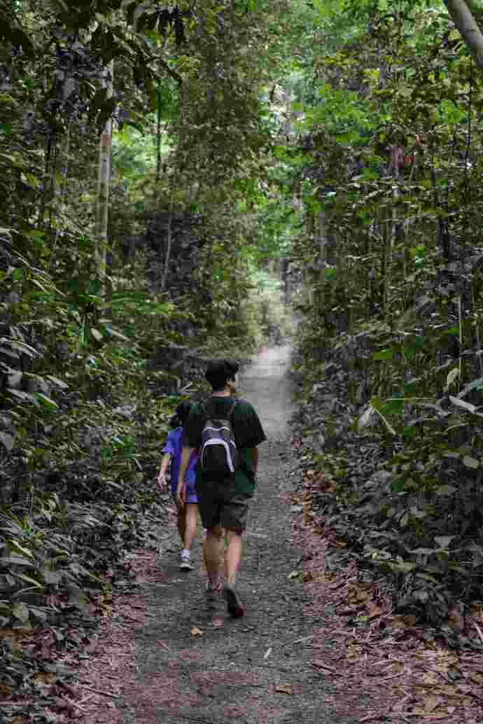 TopTree-04.jpeg TopTree 04