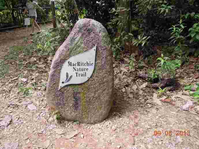 TopTree-05.jpeg TopTree 05