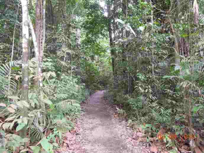 TopTree-06.jpeg TopTree 06