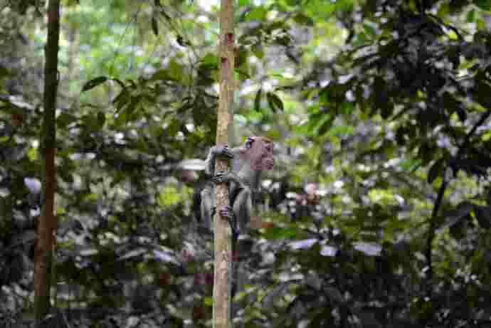 TopTree-07.jpeg TopTree 07