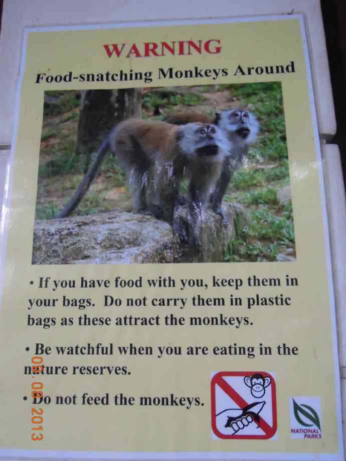 TopTree-08.jpeg TopTree 08