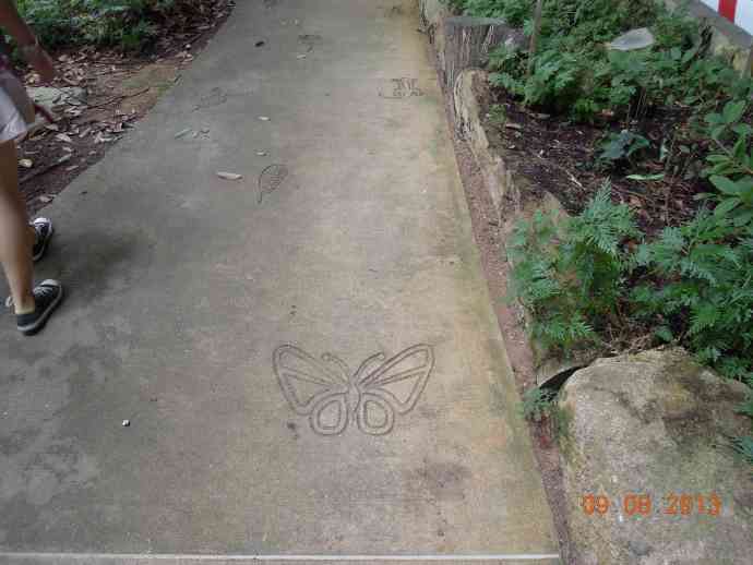 TopTree-09.jpeg TopTree 09