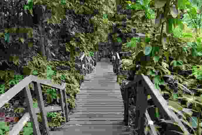 TopTree-10.jpeg TopTree 10