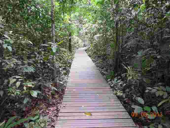 TopTree-11.jpeg TopTree 11