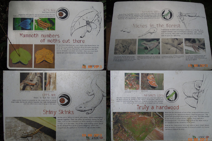 TopTree-12.jpeg TopTree 12