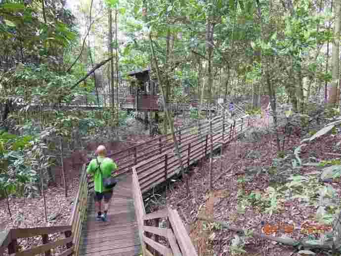 TopTree-13.jpeg TopTree 13