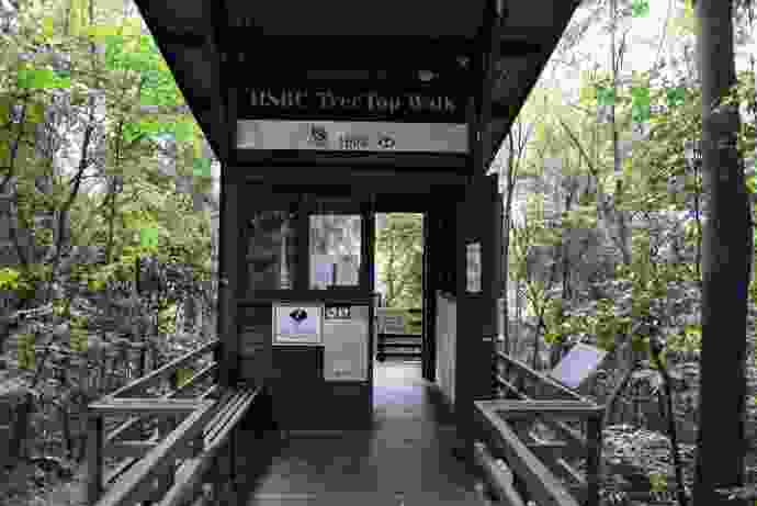 TopTree-14.jpeg TopTree 14