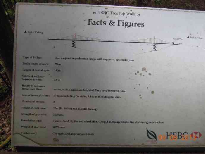 TopTree-15.jpeg TopTree 15