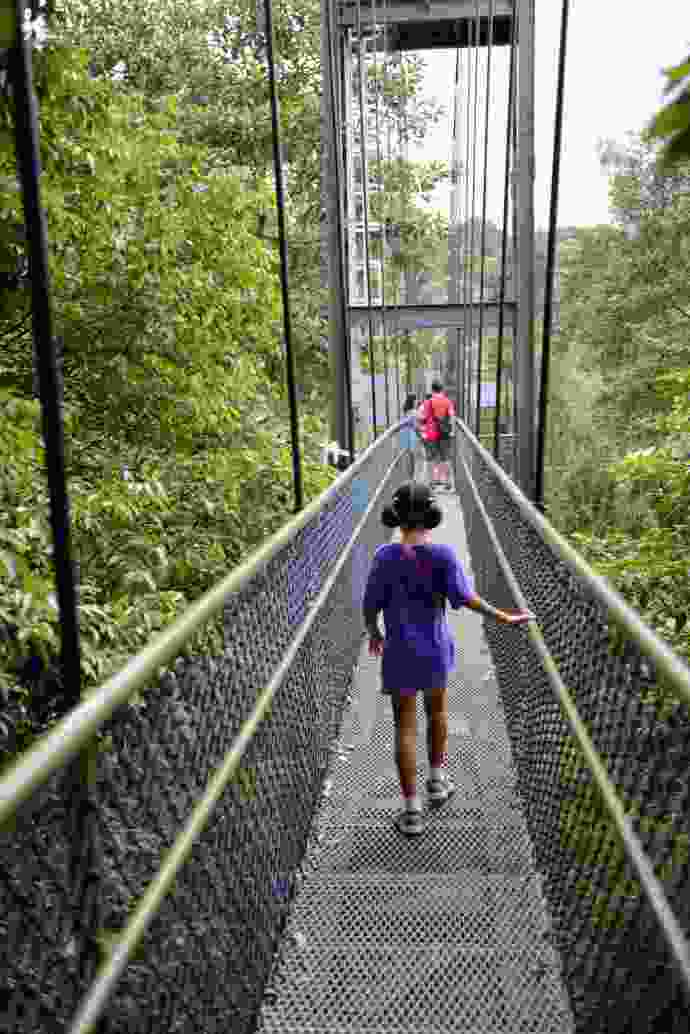 TopTree-16.jpeg TopTree 16