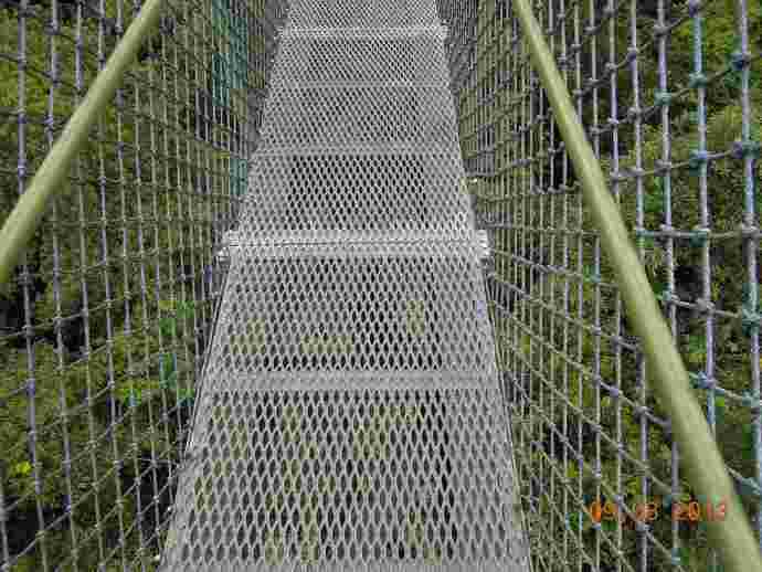 TopTree-18.jpeg TopTree 18