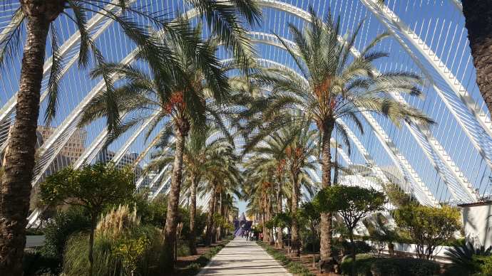 Valencia-18.jpeg Valencia 18