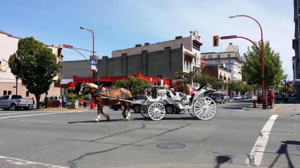 Victoria1-11.jpeg Victoria1 11