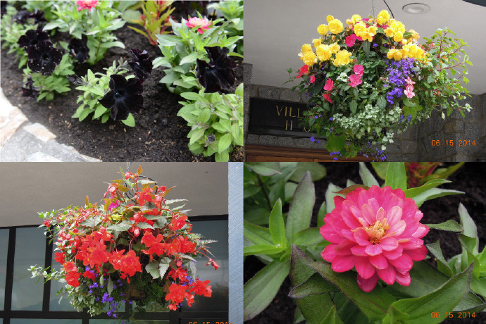 Whistler-16.jpeg Whistler 16