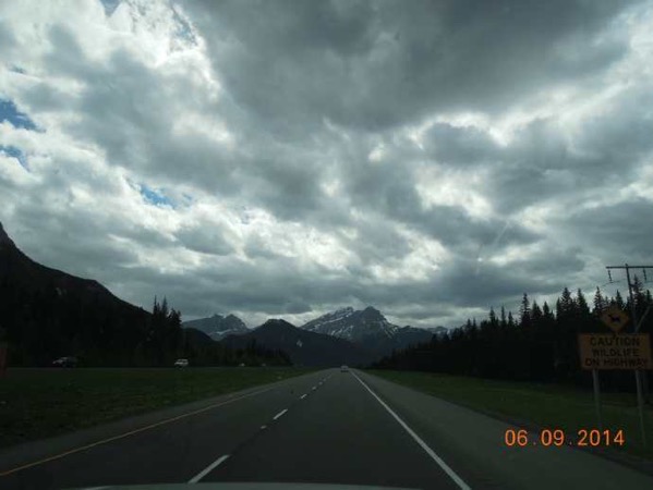 banfu-08.jpeg Banfu 08