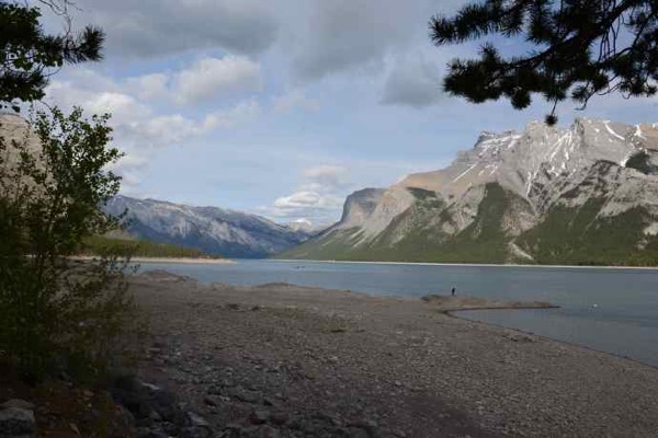 banfu-11.jpeg Banfu 11