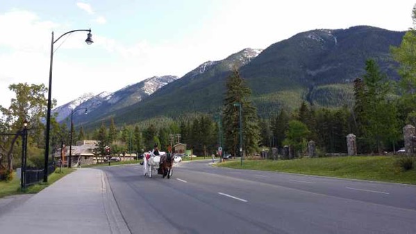 banfu-23.jpeg Banfu 23