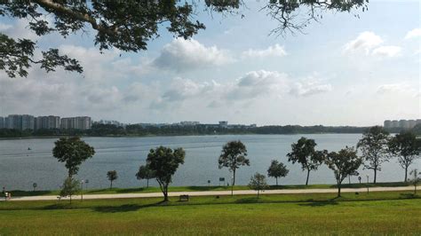 勿洛蓄水池（Bedok Resevoir）