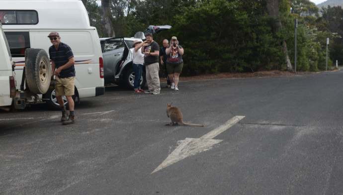 hobart2-08.jpeg Hobart2 08